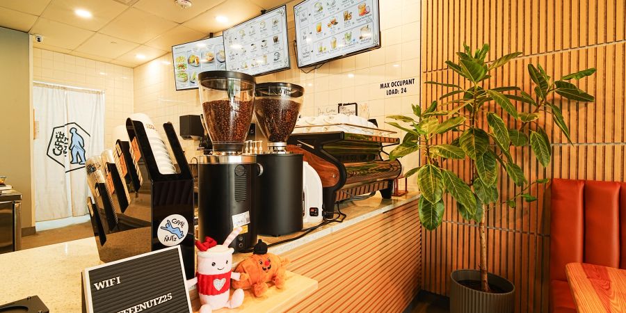 Coffee shop counter with grinders and a potted plant
